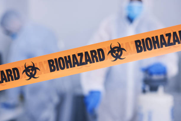 Professional Odor Removal technician working in Grover, CO